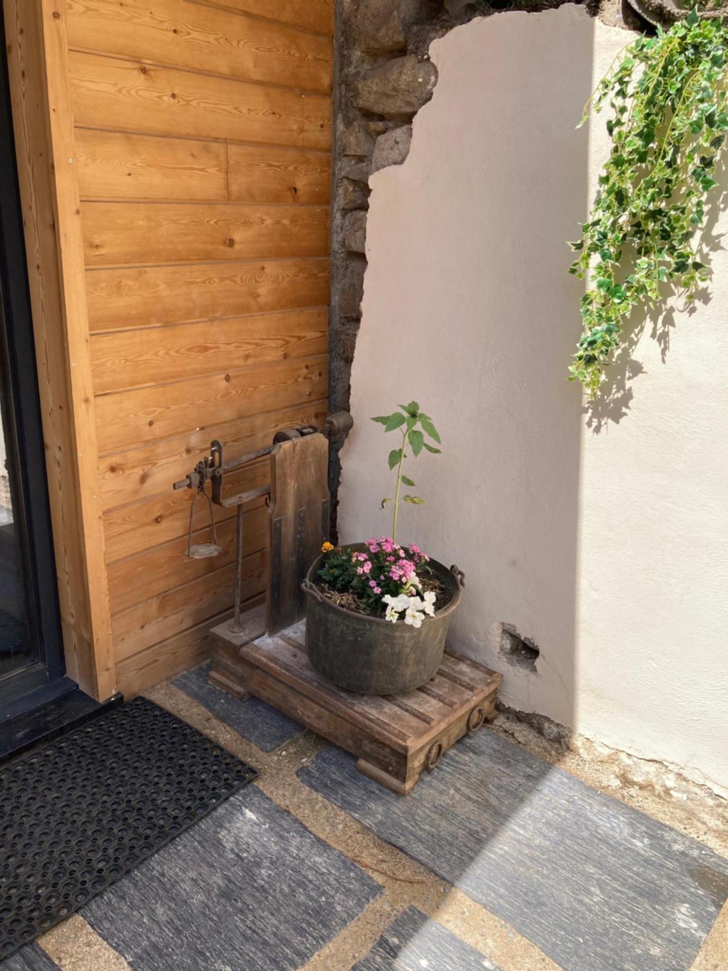 Chalet Melba Le Clos Des Ours Matemale Exterior foto